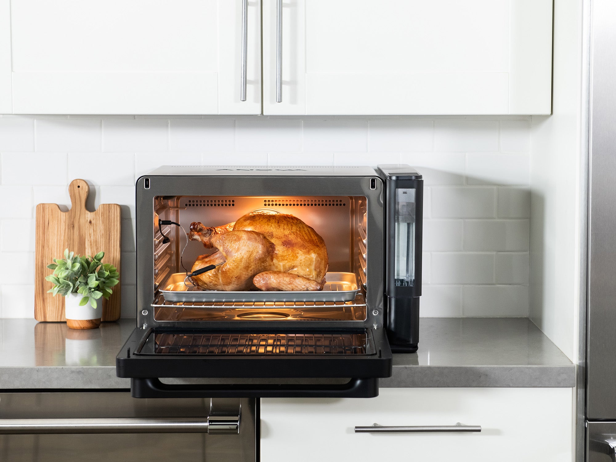 Anova Precision Oven