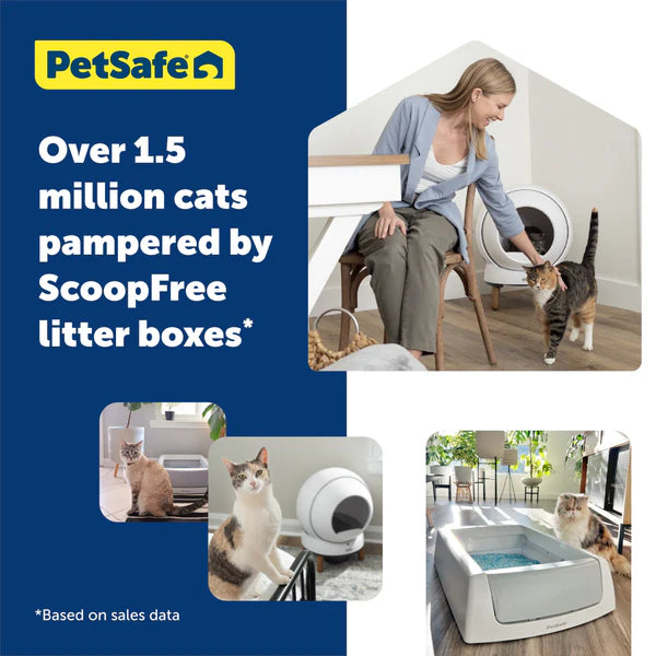 Self Cleaning Cat Litter Box System