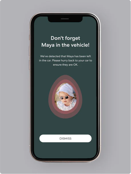 Babyark Convertible Car Seat - Smart