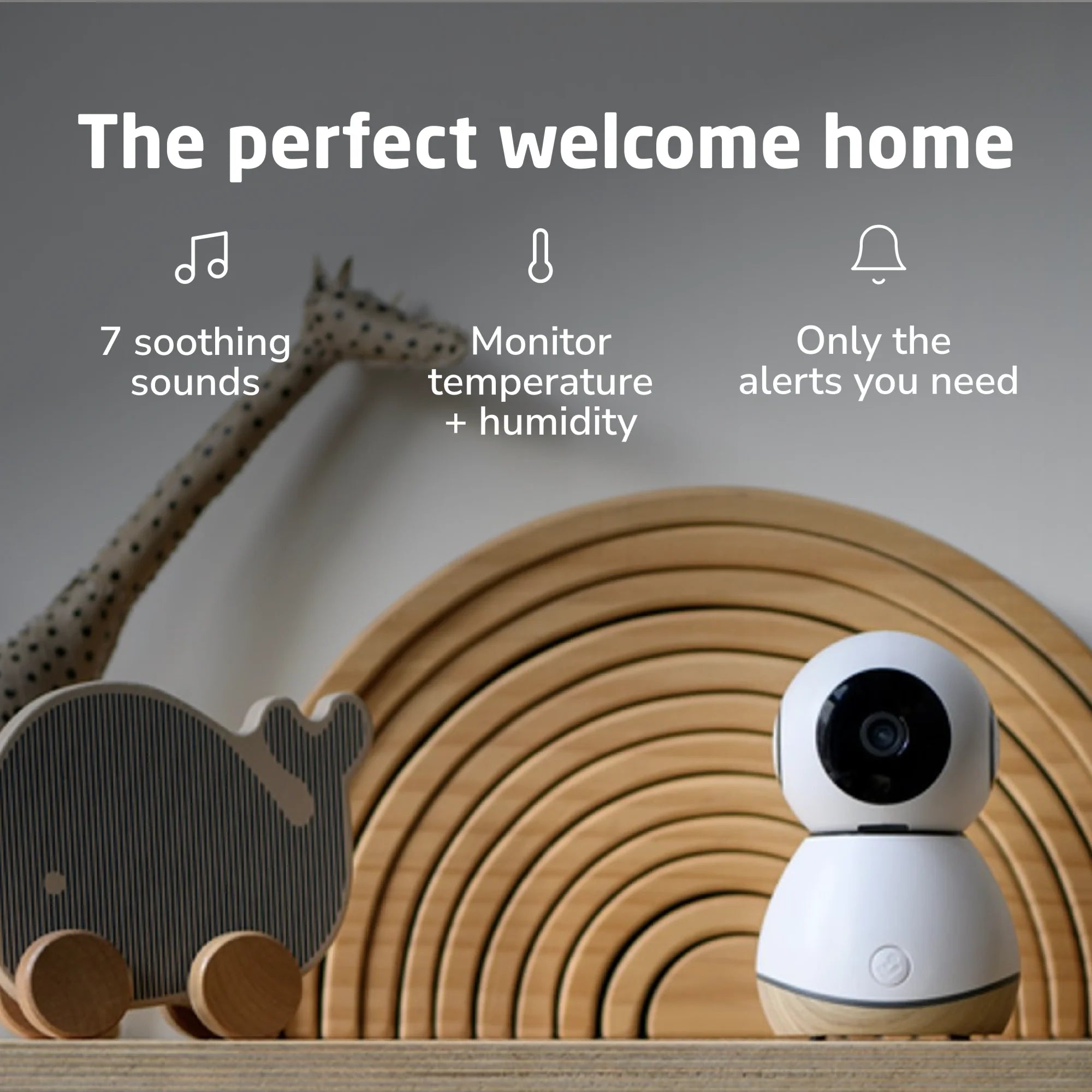 See Pro 360° Baby Monitor